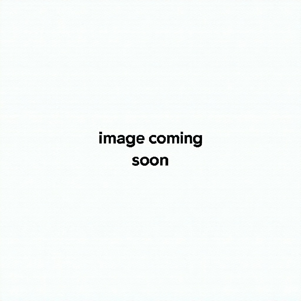 blank white space with text image coming soon-May-14-2025-08-51-53-1017-AM