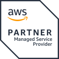Managed Service Provider